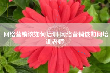网络营销该如何培训(网络营销该如何培训老师)
