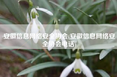安徽信息网络安全协会(安徽信息网络安全协会电话)