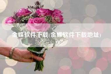 金蝶软件下载(金蝶软件下载地址)