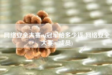 网络安全大赛ctf冠军给多少钱(网络安全大赛ctf成员)