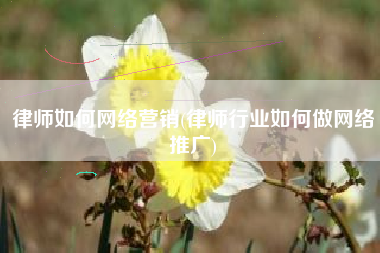 律师如何网络营销(律师行业如何做网络推广)