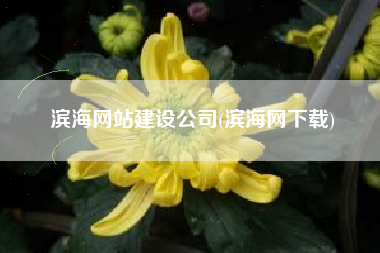 滨海网站建设公司(滨海网下载)