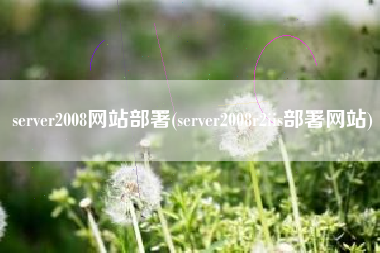 server2008网站部署(server2008r2iis部署网站)