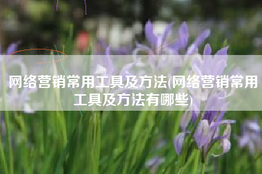 网络营销常用工具及方法(网络营销常用工具及方法有哪些)