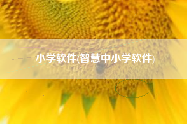 小学软件(智慧中小学软件)