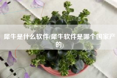 犀牛是什么软件(犀牛软件是哪个国家产的)