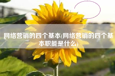 网络营销的四个基本(网络营销的四个基本职能是什么)