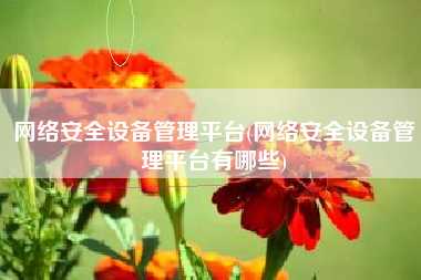 网络安全设备管理平台(网络安全设备管理平台有哪些)