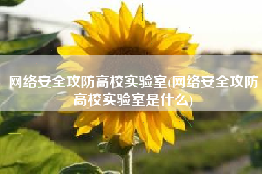网络安全攻防高校实验室(网络安全攻防高校实验室是什么)