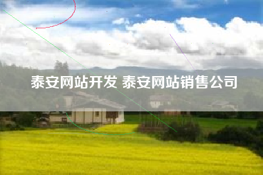 泰安网站开发 泰安网站销售公司