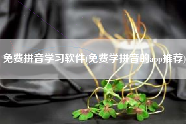 免费拼音学习软件(免费学拼音的app推荐)