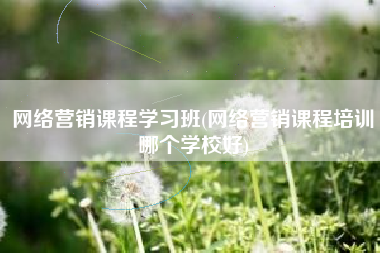 网络营销课程学习班(网络营销课程培训哪个学校好)