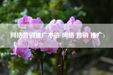 网络营销推广术语(网络 营销 推广)