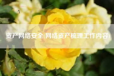 资产网络安全(网络资产梳理工作内容)