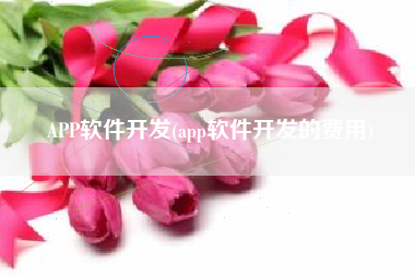 APP软件开发(app软件开发的费用)