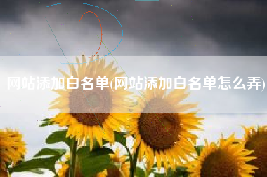 网站添加白名单(网站添加白名单怎么弄)