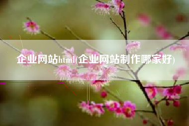 企业网站html(企业网站制作哪家好)