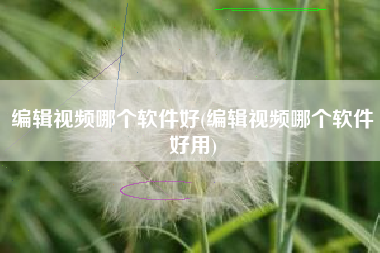 编辑视频哪个软件好(编辑视频哪个软件好用)