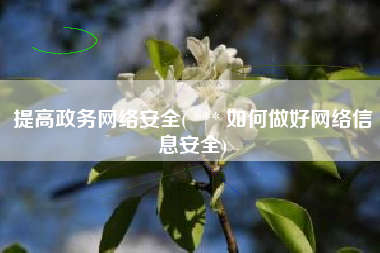 提高政务网络安全( *** 如何做好网络信息安全)