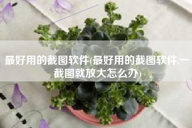 最好用的截图软件(最好用的截图软件,一截图就放大怎么办)