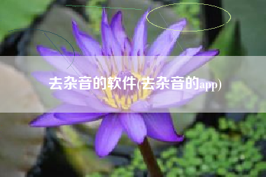 去杂音的软件(去杂音的app)