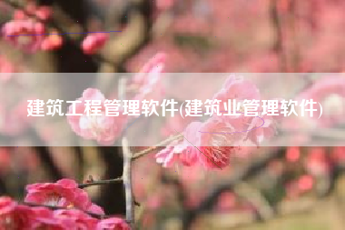 建筑工程管理软件(建筑业管理软件)