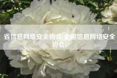 省信息网络安全协会(全国信息网络安全协会)