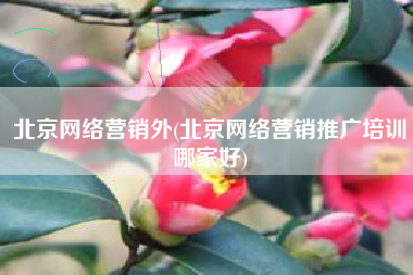 北京网络营销外(北京网络营销推广培训哪家好)