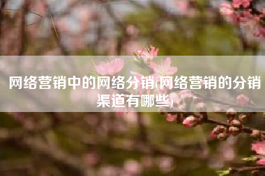 网络营销中的网络分销(网络营销的分销渠道有哪些)