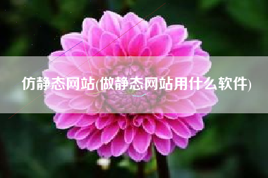 仿静态网站(做静态网站用什么软件)