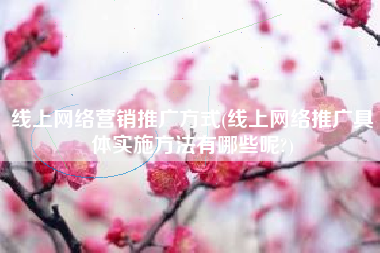 线上网络营销推广方式(线上网络推广具体实施方法有哪些呢?)