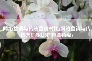 网络营销与传统营销对比(网络营销与传统营销相比有哪些特点)