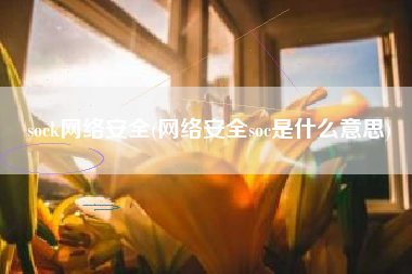 sock网络安全(网络安全soc是什么意思)