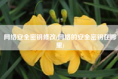 网络安全密钥修改(网络的安全密钥在哪里)
