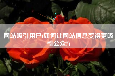 网站吸引用户(如何让网站信息变得更吸引公众?)