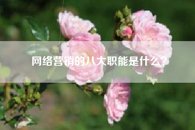 网络营销的八大职能是什么？