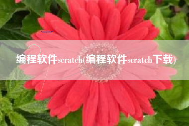 编程软件scratch(编程软件scratch下载)