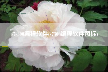 s7-300编程软件(s7300编程软件图标)