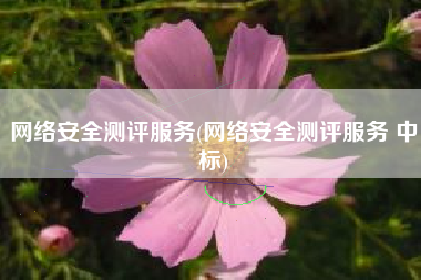 网络安全测评服务(网络安全测评服务 中标)