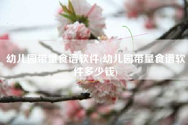 幼儿园带量食谱软件(幼儿园带量食谱软件多少钱)