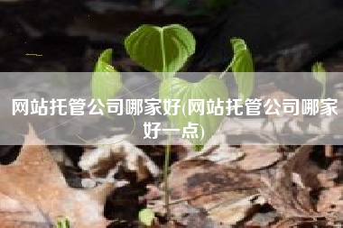 网站托管公司哪家好(网站托管公司哪家好一点)