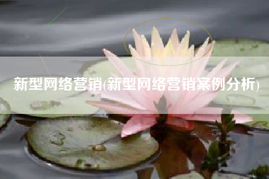 新型网络营销(新型网络营销案例分析)