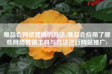 唯品会网络营销的方法(唯品会应用了哪些网络营销工具与方法进行网站推广)