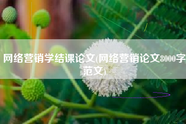 网络营销学结课论文(网络营销论文8000字范文)