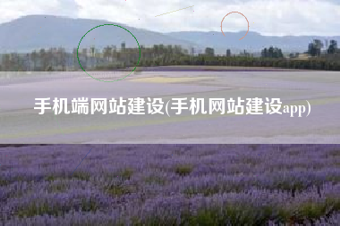 手机端网站建设(手机网站建设app)