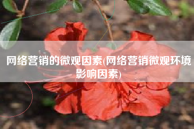 网络营销的微观因素(网络营销微观环境影响因素)