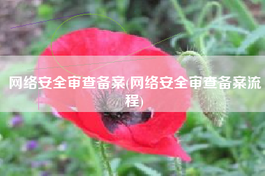 网络安全审查备案(网络安全审查备案流程)
