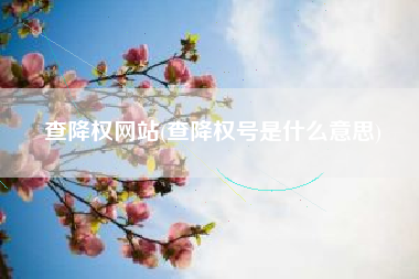 查降权网站(查降权号是什么意思)