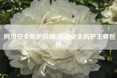 网络安全防护阶段(网络安全防护主要包括)