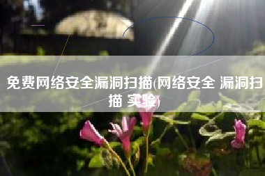 免费网络安全漏洞扫描(网络安全 漏洞扫描 实验)